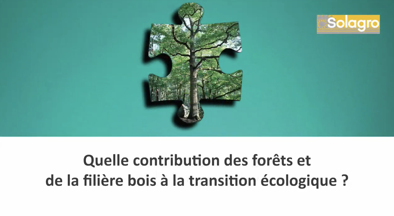 Forêts et filières bois : devenez acteurs de la transition écologique