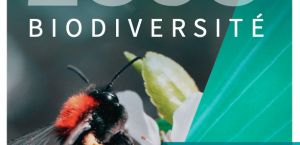 Afterres2050 Biodiversité – un scénario fondé sur la nature et pour la nature