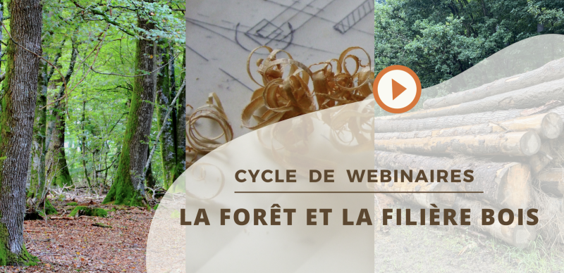 La forêt et la filière bois – Cycle de 3 webinaires