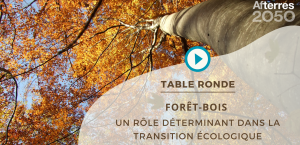 Forêt & Bois – Un rôle déterminant dans la transition écologique