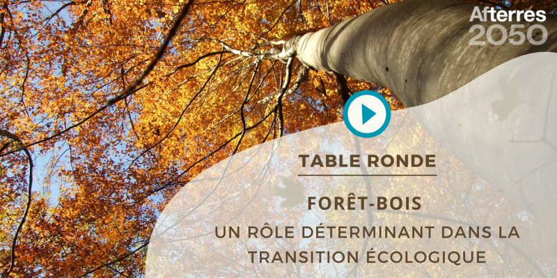 vignette table ronde forêt bois : un rôle déterminant pour la transition écologique