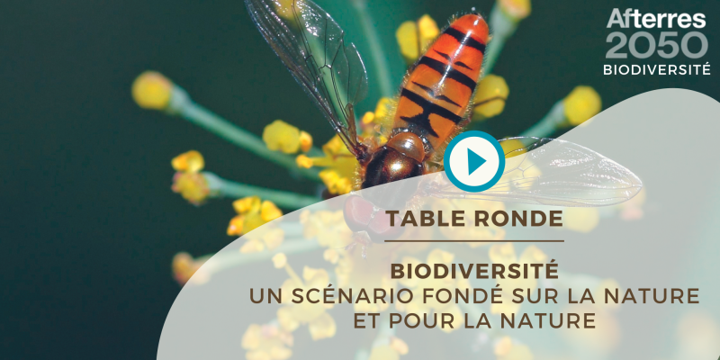 Replay table ronde AFTERRES2050 Biodiversité - Un scénario fondé sur la nature et pour la nature