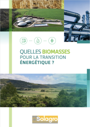 Rapport de synthèse "Quelles biomasses pour la transition énergétique"