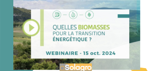 Quelles biomasses pour la transition énergétique ?